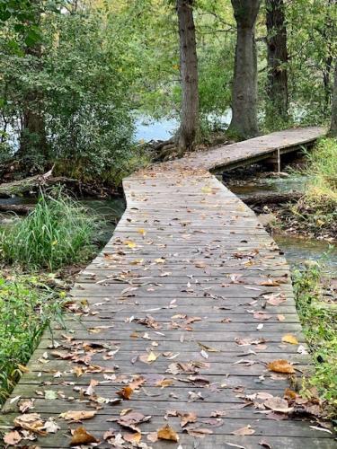 River Trail At 1000 Islands Conservancy Zone