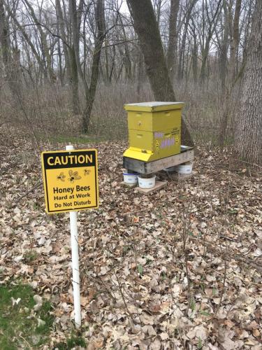 Honey Bee Hive Placed At 1000 Islands